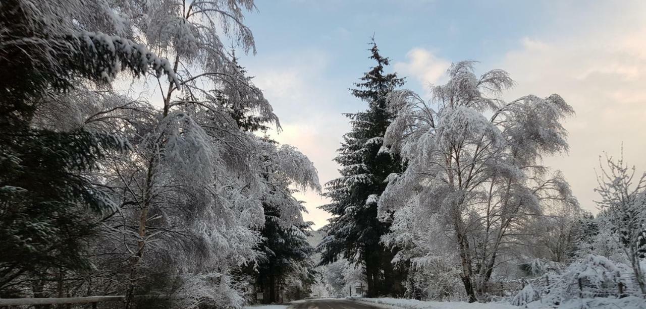 Loch Ness And Highlands Holiday Home Bearnock Eksteriør bilde